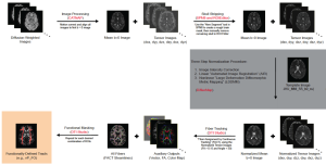 Q-TIPs Preprocessing Pipeline (Figley et al., SfN 2012).